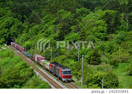 新緑の室蘭本線を走る貨物列車 新緑の室蘭本線を走る貨物列車 142033841