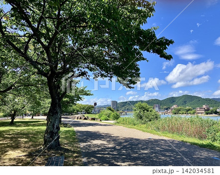 河川敷の散歩道 河川敷の散歩道 142034581