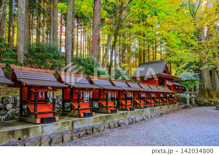 秋の朝光 三峰神社の色づいた林から朝日が差し込み静かに立ち並ぶ摂末社の風景 秋の朝光 三峰神社の色づいた林から朝日が差し込み静かに立ち並ぶ摂末社の風景 142034800