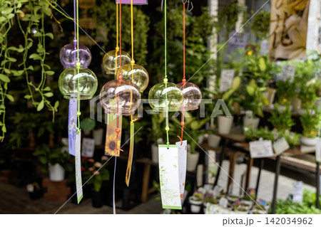 緑豊かな園芸店の軒先に吊るされた涼しげな江戸風鈴の風景 142034962