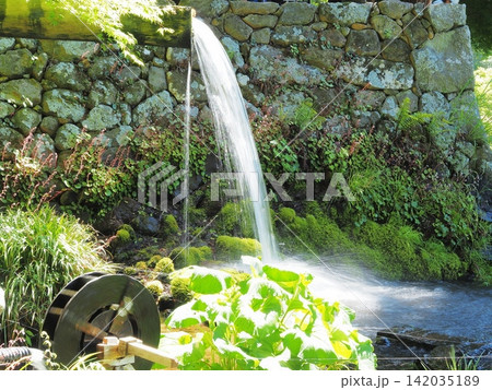 山梨県 大滝神社の名水 5月 山梨県 大滝神社の名水 5月 142035189
