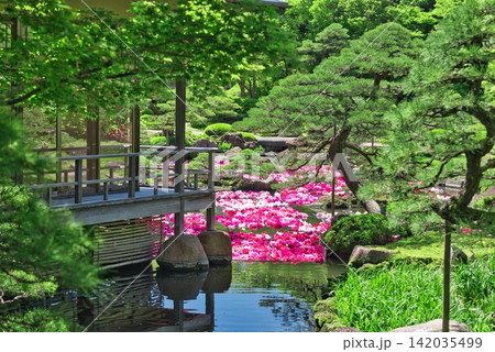 【由志園】の池泉牡丹 (島根県) 【由志園】の池泉牡丹 (島根県) 142035499