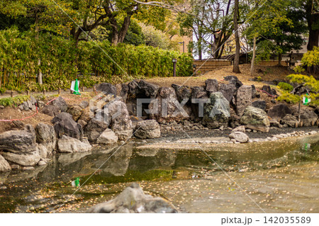 水辺の護岸を飾る個性豊かな名石群と背景に広がる竹林 清澄庭園 2024年3月 水辺の護岸を飾る個性豊かな名石群と背景に広がる竹林 清澄庭園 2024年3月 142035589