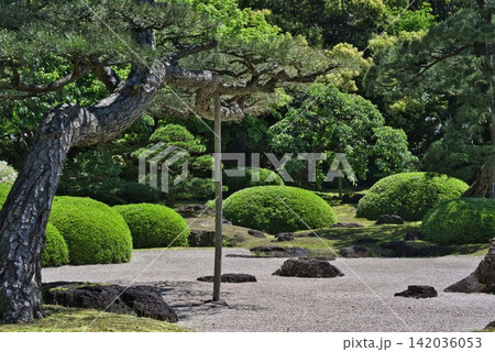 【由志園】の枯山水庭園 (島根県) 【由志園】の枯山水庭園 (島根県) 142036053