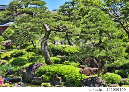 【由志園】の庭園 (島根県) 【由志園】の庭園 (島根県) 142036100