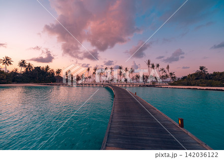 Enchanting pastel dusk palms silhouetted overwater villas calm azure Maldives lagoon glowing sky. Luxury travel honeymoon paradise scenic. Exotic getaway wall art decor Enchanting pastel dusk palms silhouetted overwater villas calm azure Maldives lagoon glowing sky. Luxury travel honeymoon paradise scenic. Exotic getaway wall art decor 142036122
