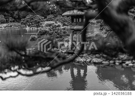 松の木枠のようなダイナミックな前ぼけと石灯籠のモノクロ描写 清澄庭園 2024年3月 松の木枠のようなダイナミックな前ぼけと石灯籠のモノクロ描写 清澄庭園 2024年3月 142036188