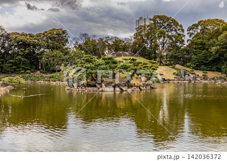 大泉水に浮かぶ中島と松の緑が広がる庭園全景 清澄庭園 2024年3月 142036372