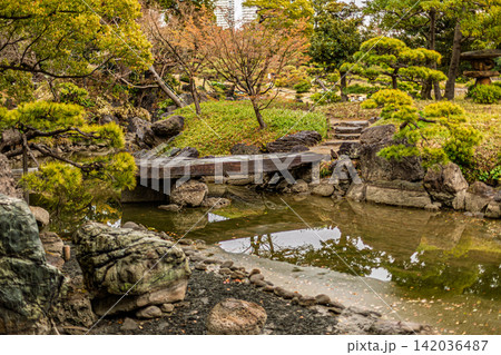 水面に映り込む美しい木々の倒影と石橋が織りなす池畔の風景 清澄庭園 2024年3月 142036487