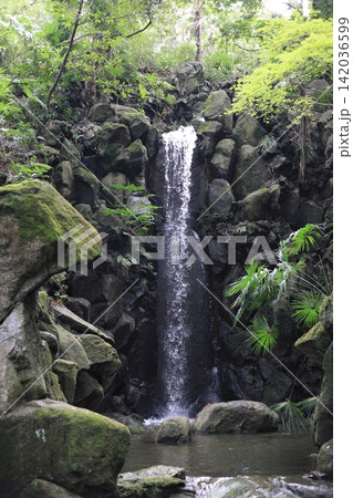 美しい滝の風景 美しい滝の風景 142036599