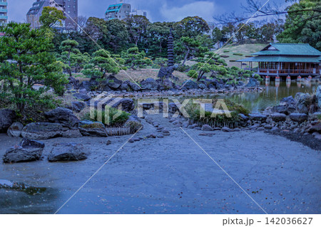 青みがかったトーンで描く静謐な大泉水と多層塔の風景 清澄庭園 2024年3月 青みがかったトーンで描く静謐な大泉水と多層塔の風景 清澄庭園 2024年3月 142036627