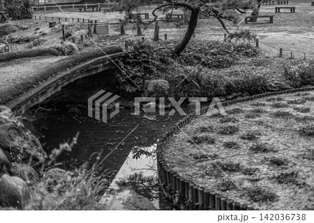 水面に映る木々と佇む水鳥を捉えたモノクロの小川風景 清澄庭園 2024年3月 142036738