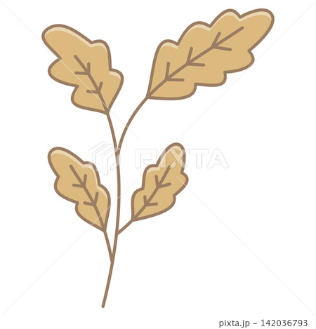 Flat style sticker illustration of an oak branch with brown autumn leaves isolated on transparent background. Botanical oak tree foliage clip art graphic element for fall design asset. Flat style sticker illustration of an oak branch with brown autumn leaves isolated on transparent background. Botanical oak tree foliage clip art graphic element for fall design asset. 142036793