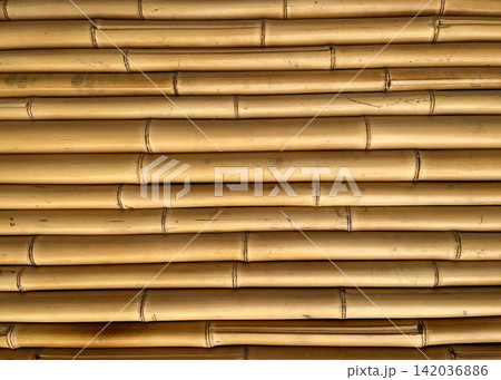 Natural golden bamboo canes as a textured background 142036886