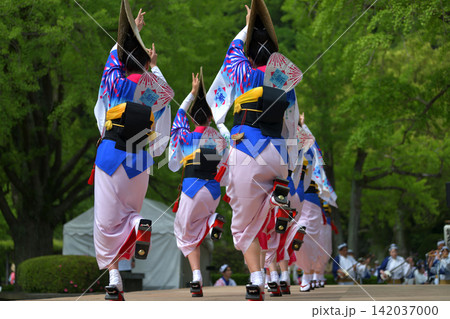 阿波踊り 徳島市 有名連の女踊り 阿波踊り 徳島市 有名連の女踊り 142037000