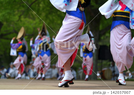 阿波踊り 徳島市 有名連の女踊り 阿波踊り 徳島市 有名連の女踊り 142037007