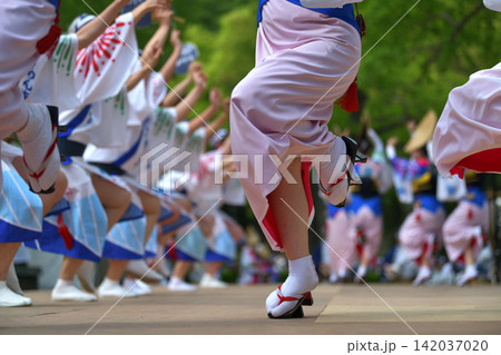 阿波踊り 徳島市 有名連の女踊り 阿波踊り 徳島市 有名連の女踊り 142037020