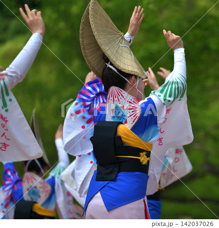 阿波踊り 徳島市 有名連の女踊り 阿波踊り 徳島市 有名連の女踊り 142037026