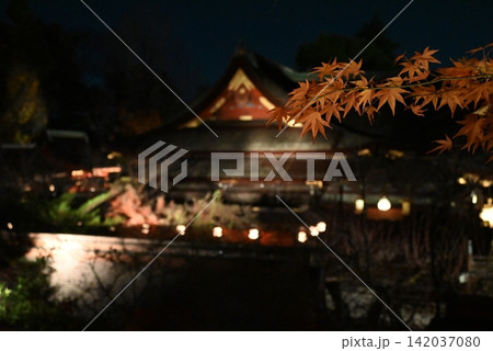 【京都】北野天満宮の紅葉ライトアップ 【京都】北野天満宮の紅葉ライトアップ 142037080