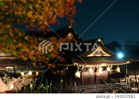 【京都】北野天満宮の紅葉ライトアップ 【京都】北野天満宮の紅葉ライトアップ 142037081