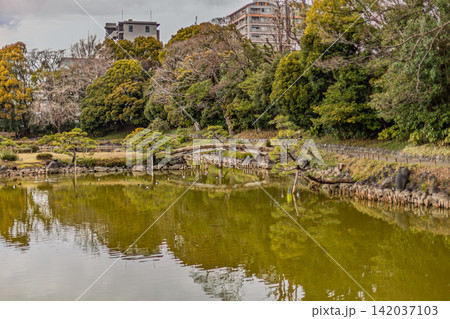 都会のビル群を背景に池の水面に映る木々と橋 清澄庭園 2024年3月 都会のビル群を背景に池の水面に映る木々と橋 清澄庭園 2024年3月 142037103