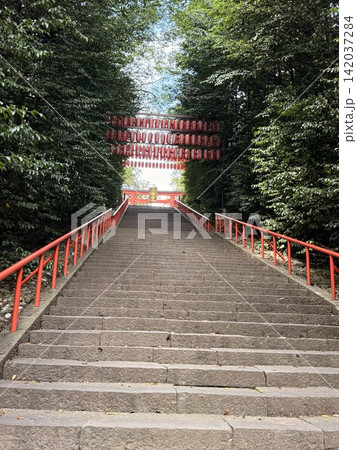 長い階段と緑のトンネルを抜けた先の神様へ続く鳥居 142037284
