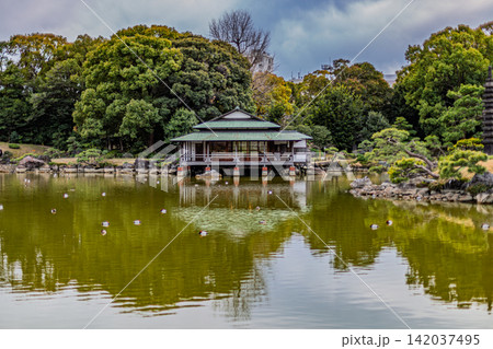池畔に佇む数寄屋造りの涼亭と水面に浮かぶカモの群れ 清澄庭園 2024年3月 池畔に佇む数寄屋造りの涼亭と水面に浮かぶカモの群れ 清澄庭園 2024年3月 142037495