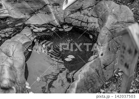 モノクロのつくばいに滴る水滴と水面に広がる綺麗な波紋 清澄庭園 2024年3月 モノクロのつくばいに滴る水滴と水面に広がる綺麗な波紋 清澄庭園 2024年3月 142037503