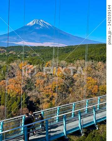 三島スカイウォークより眺める秋の富士山 142039144