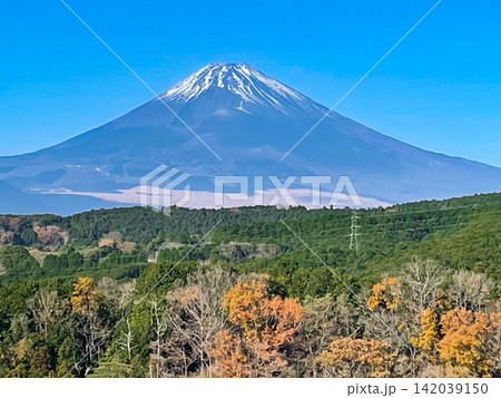 三島スカイウォークより眺める秋の富士山 三島スカイウォークより眺める秋の富士山 142039150