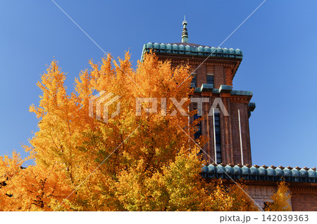 【横浜の秋】日本大通りの紅葉と神奈川県庁(キングの塔) 【横浜の秋】日本大通りの紅葉と神奈川県庁(キングの塔) 142039363