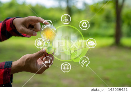 Hand holding a light bulb over green leaves, renewable energy, sustainability, clean power, environmental protection, and future. 142039421