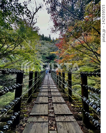 紅葉の中の橋 紅葉の中の橋 142039555
