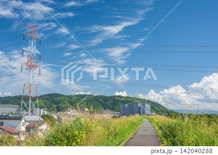 淀川堤防上の景観 大阪府高槻市 淀川堤防上の景観 大阪府高槻市 142040288