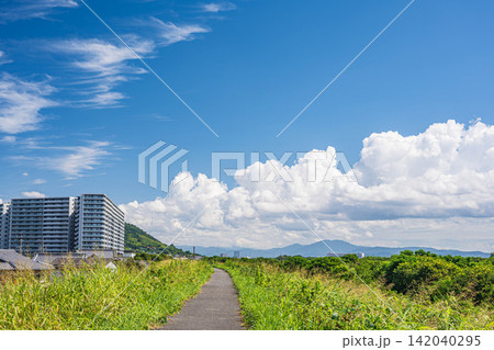 淀川堤防上の景観 大阪府高槻市 淀川堤防上の景観 大阪府高槻市 142040295
