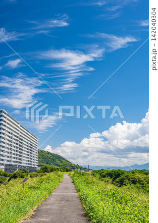 淀川堤防上の景観 大阪府高槻市 淀川堤防上の景観 大阪府高槻市 142040304