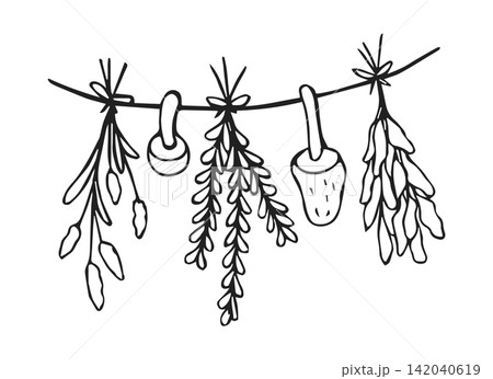 Hand Drawn Dried Herbs Grass and Mushroom Hanging on Rope Line Art Doodle Illustration for Rustic Botanical Design Hand Drawn Dried Herbs Grass and Mushroom Hanging on Rope Line Art Doodle Illustration for Rustic Botanical Design 142040619