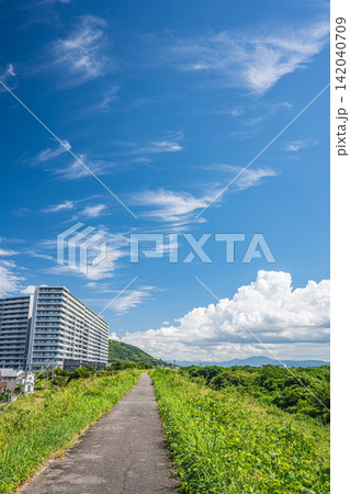 淀川堤防上の景観 大阪府高槻市 淀川堤防上の景観 大阪府高槻市 142040709