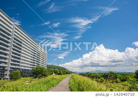 淀川堤防上からの景観 大阪府高槻市 淀川堤防上からの景観 大阪府高槻市 142040710