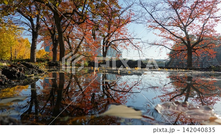 澄んだ水溜まりに映り込む紅葉と落ち葉 澄んだ水溜まりに映り込む紅葉と落ち葉 142040835