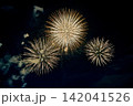 ふくろい遠州の花火2026 142041526