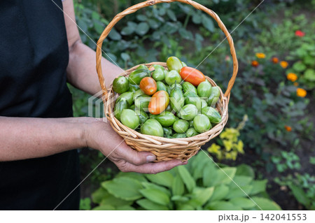 Fresh vegetable melange on wooden rustic background. 142041553