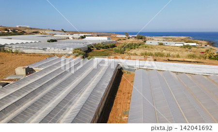 Aerial view of extensive greenhouses and cultivation fields along the Mediterranean coast of Crete 142041692