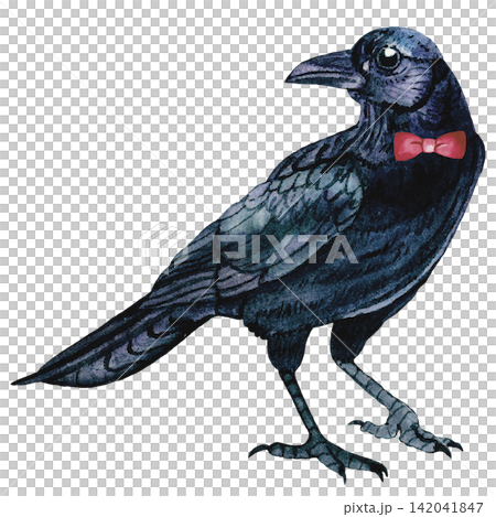 Mysterious Black Crow with Red Bow Halloween Watercolor Illustration Mysterious Black Crow with Red Bow Halloween Watercolor Illustration 142041847