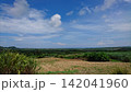 海の見える丘、田園風景 142041960