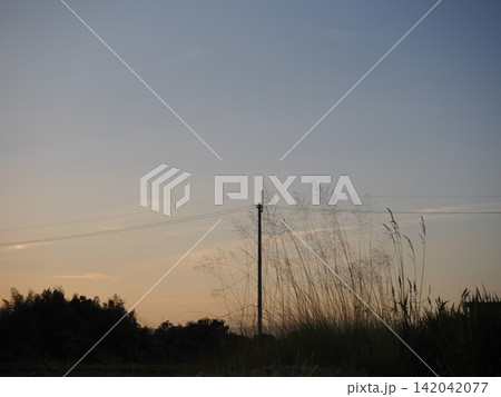 幻想的な夕景 幻想的な夕景 142042077