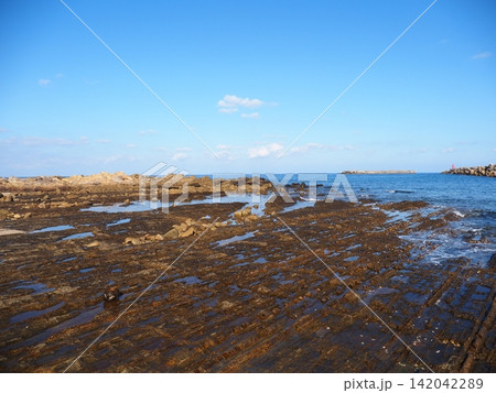 種子島・西之表港の「おじゃり申せ種子島」歓迎モニュメント 種子島・西之表港の「おじゃり申せ種子島」歓迎モニュメント 142042289
