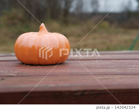 Pumpkin figurine outdoors. Bright orange ceramic pumpkin decoration. Floral arrangement. Late Autumn backyard decor. Fall cold season overcast garden. Rainy cloudy mood. Gloomy attitude, feeling sense Pumpkin figurine outdoors. Bright orange ceramic pumpkin decoration. Floral arrangement. Late Autumn backyard decor. Fall cold season overcast garden. Rainy cloudy mood. Gloomy attitude, feeling sense 142042324
