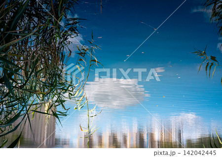 Serene blue lake water framed by reeds and reflected trees, creating an atmospheric nature scene with ripples, rich reflections, tranquil mood, summer light and peaceful wilderness, ideal for tourism. Serene blue lake water framed by reeds and reflected trees, creating an atmospheric nature scene with ripples, rich reflections, tranquil mood, summer light and peaceful wilderness, ideal for tourism. 142042445