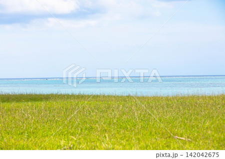 海辺に広がる芝生とエメラルドグリーンの沖縄の海(豊崎海浜公園) 海辺に広がる芝生とエメラルドグリーンの沖縄の海(豊崎海浜公園) 142042675